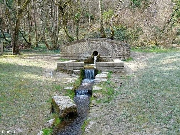 La forêt de Montaigu