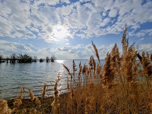 Les lacs de la forêt d'Orient